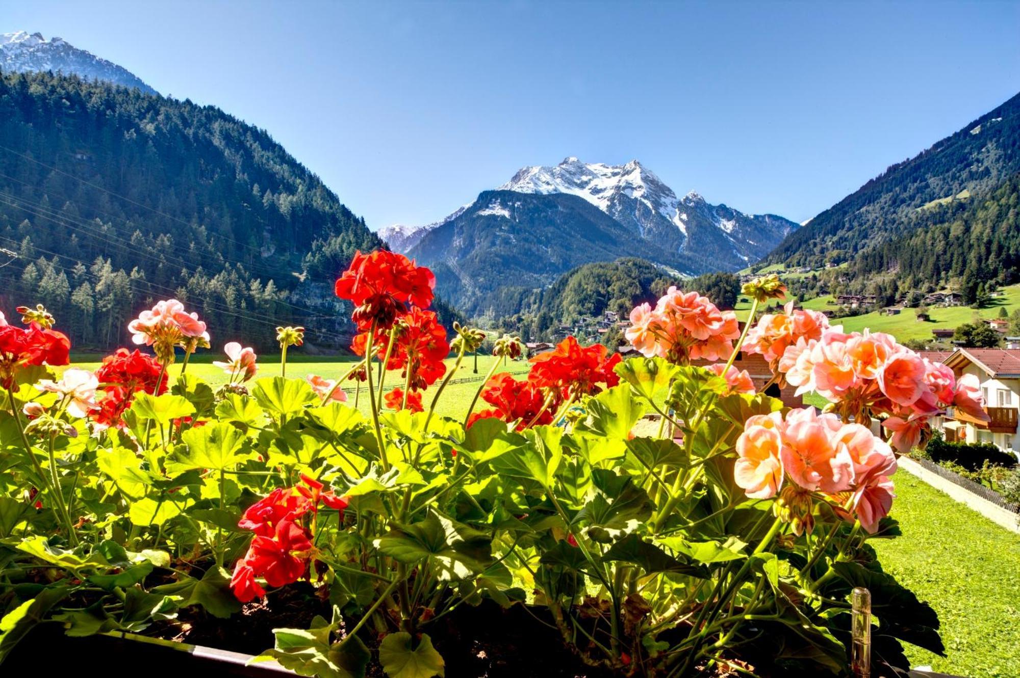 Gaestehaus Oblasser Mayrhofen Eksteriør billede